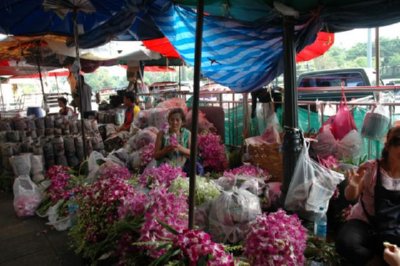 COMERCIO - FLORES (4)